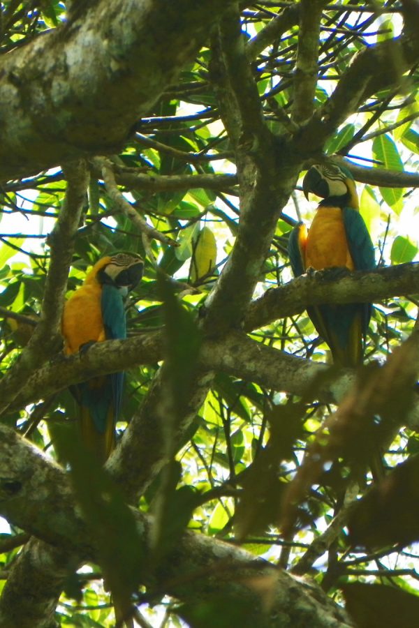 Foto-100-Catalina-Gaviria