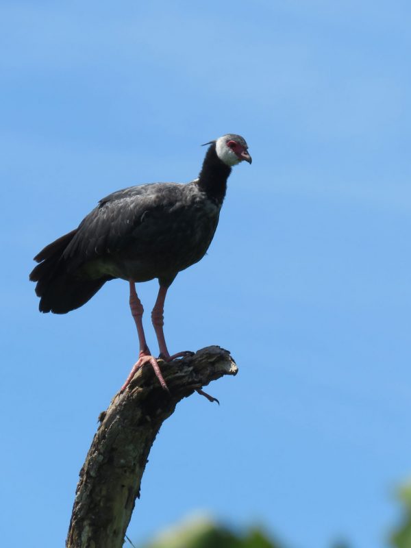 Foto-104-Orlando-Tordecilla-ok