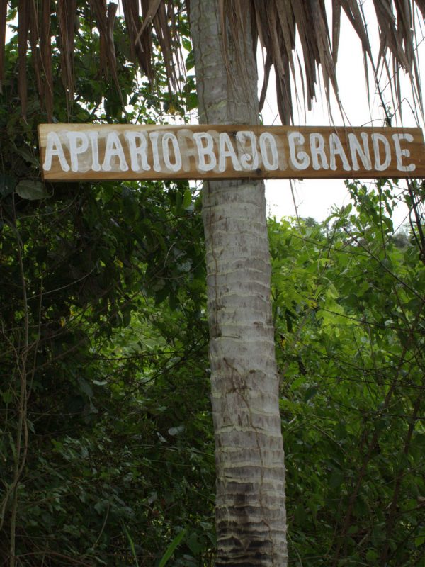 Foto-121-Daniel-Posada-ok