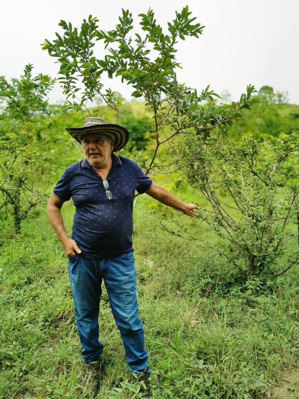 Foto-123-Daniel-Posada-ok