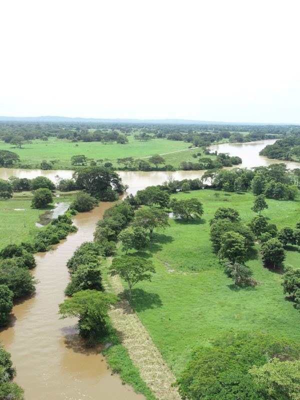 Foto-127-Carlos-Buelvas-ok