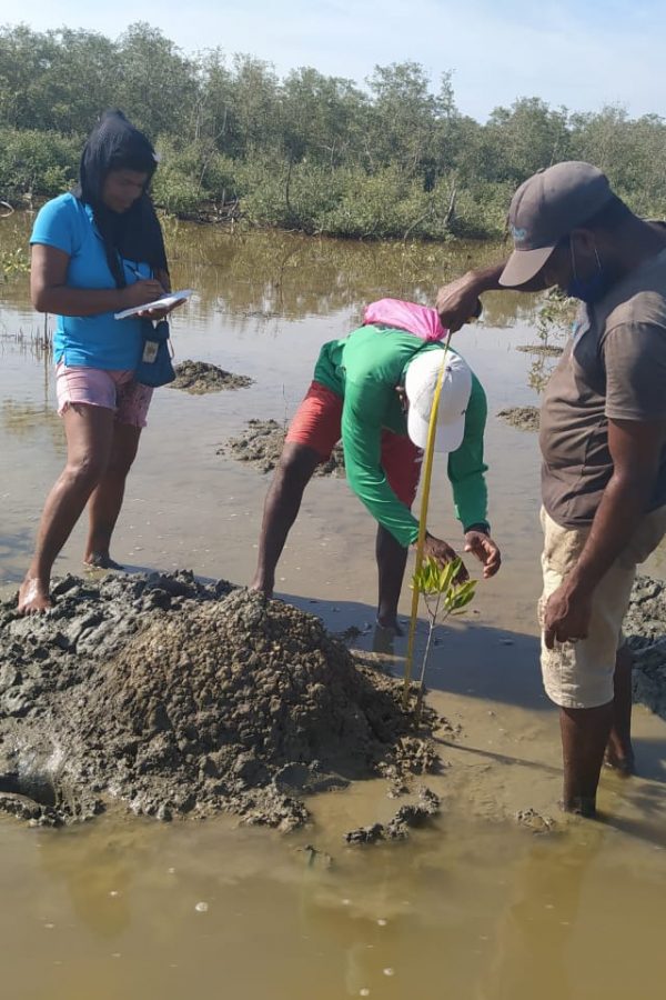 Foto 34 Omar Sierra-ok