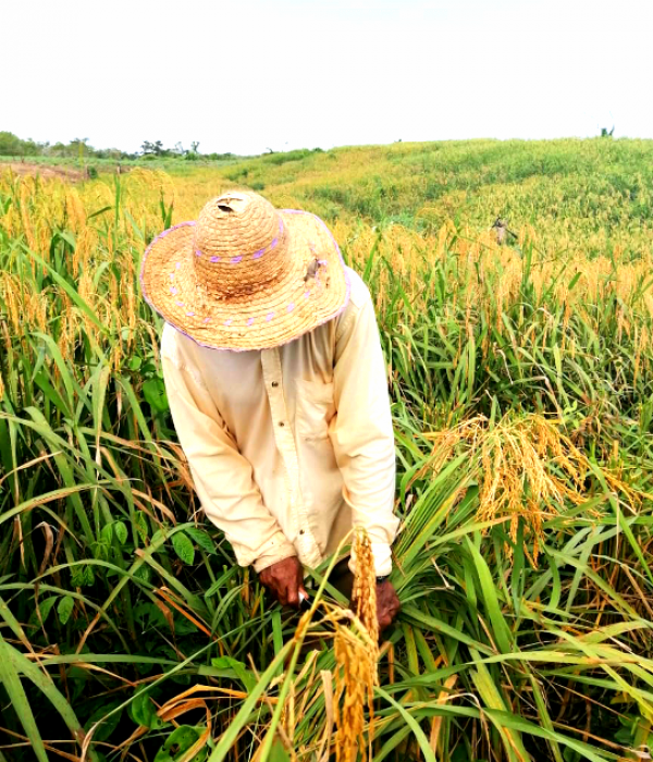 Foto 43 Anner Blanco-ok