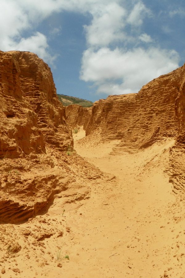 Foto-5-Catalina-Gaviria