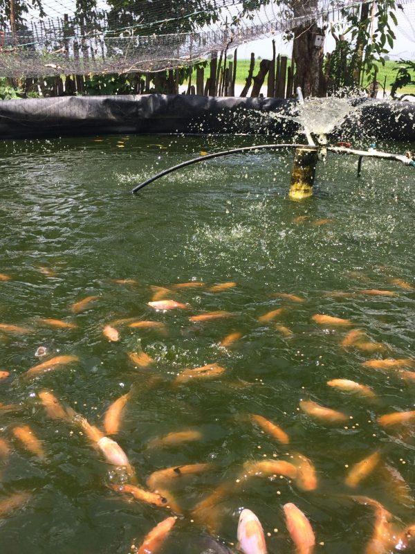 Foto-51-Leydy-Erira-ok