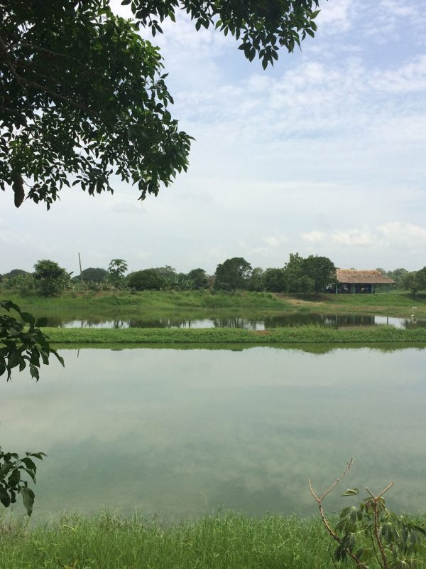 Foto-52-Leydy-Erira-ok