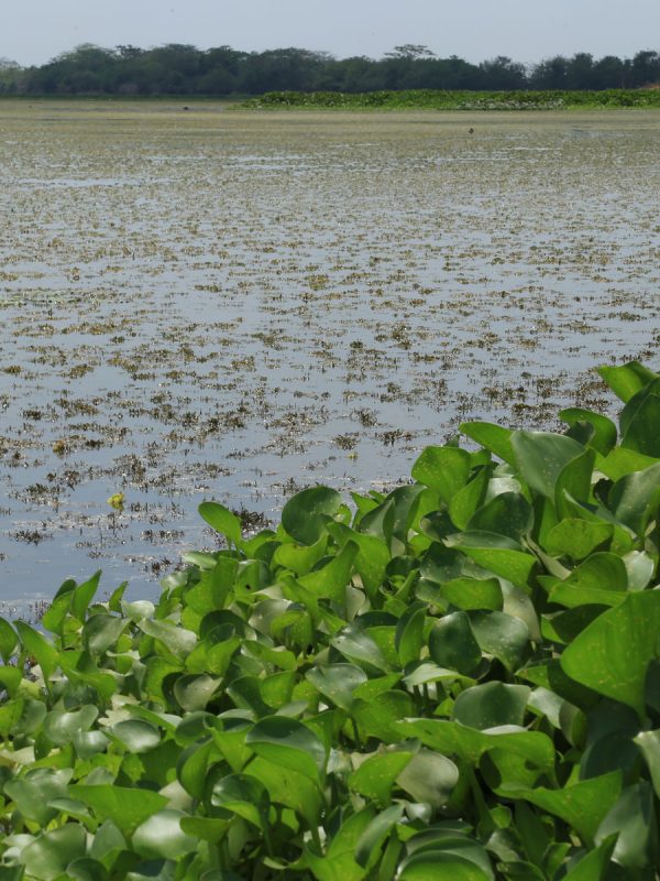 Foto-54-Daniel-Posada-ok