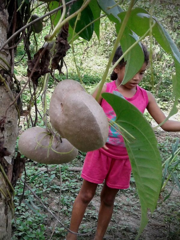 Foto-63-Iris-Soto-ok