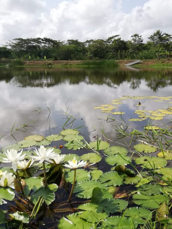 Foto 68 Camila Salgado-ok