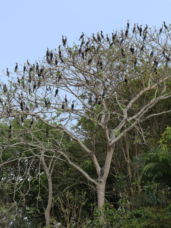 Foto-69-Felix-Rivero