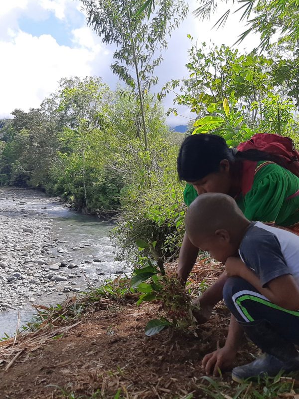 Foto-94-Arles-Catan-ok