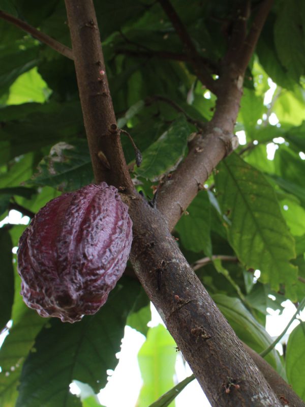 Foto75-Daniel-Posada-ok